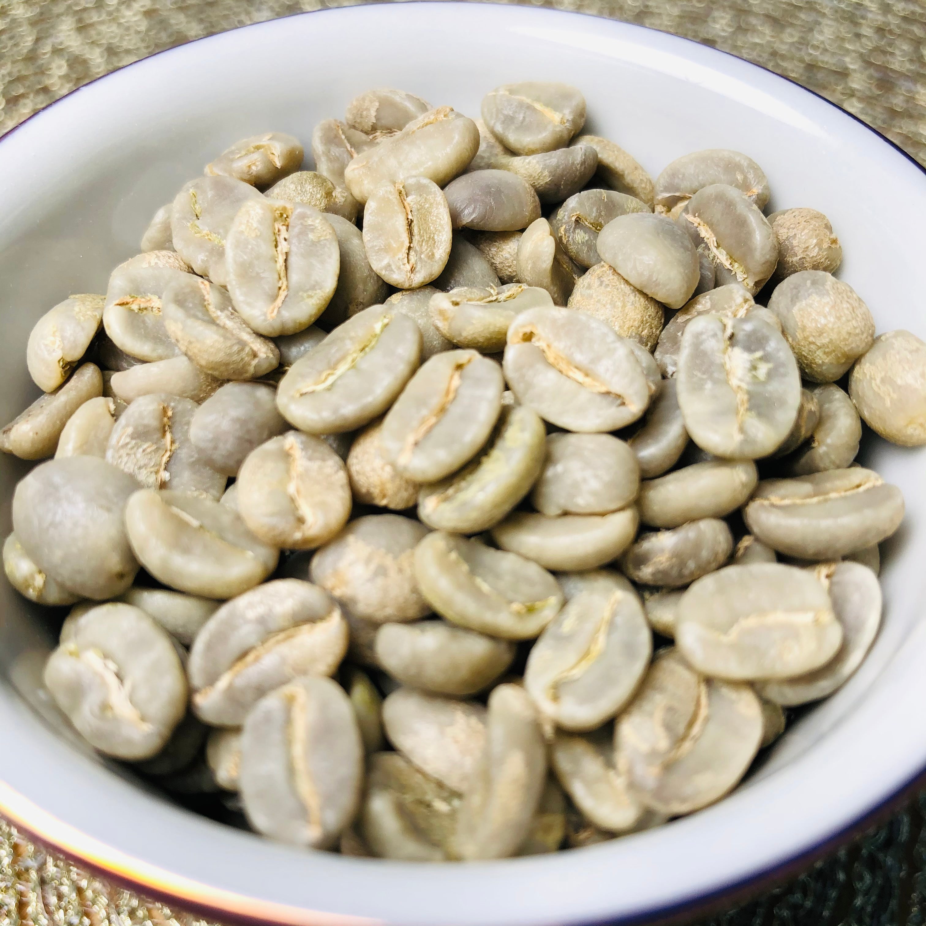 10 Pound bag of Green Beans from Our Farm in Colombia - Norte Café